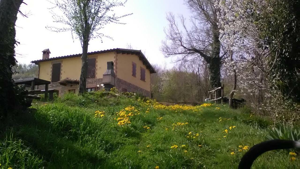 Il Gelso Rosso Daire Comunanza Dış mekan fotoğraf
