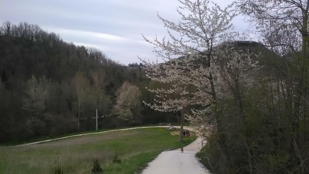 Il Gelso Rosso Daire Comunanza Dış mekan fotoğraf